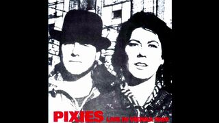 The Pixies, live in Vienna, Austria, Europe 1989-06-12